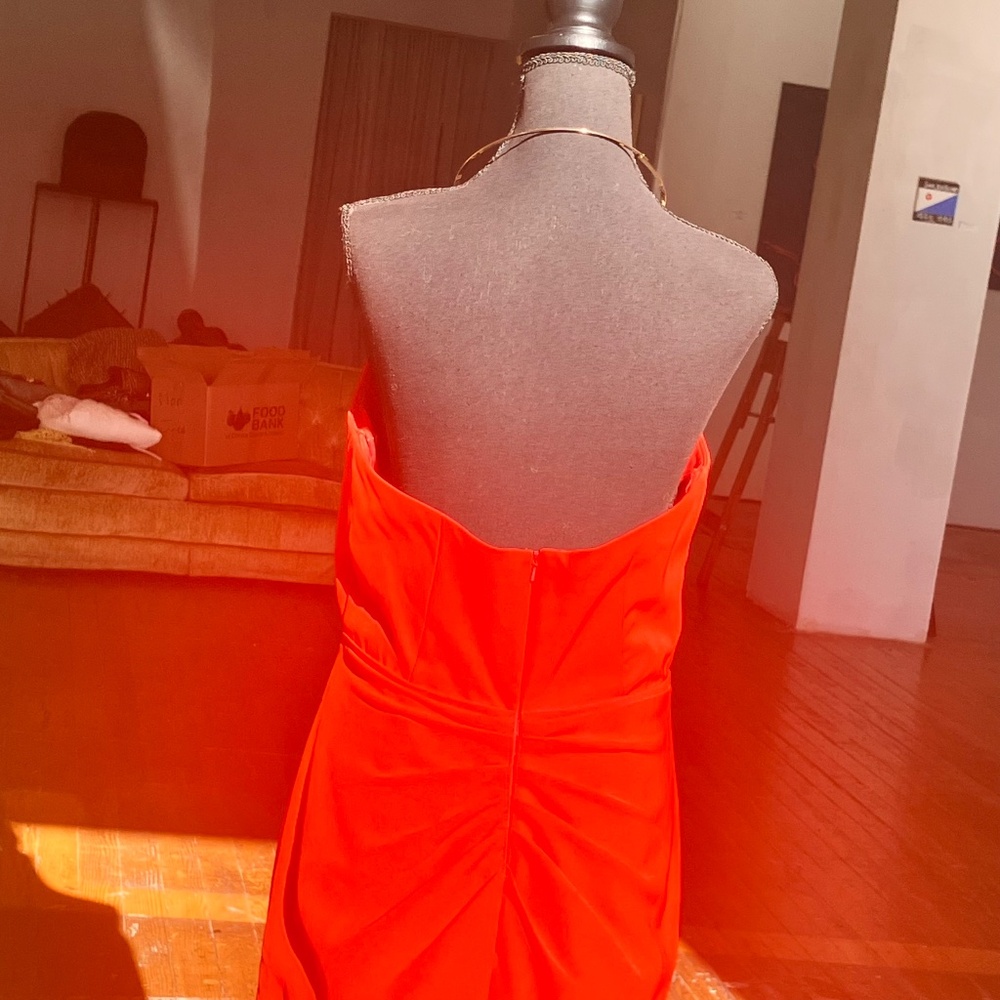 JS Collections Red Backless Halter Evening Gown - Picture 8 of 13